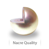 pearl nacre